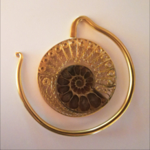 aminit earweights